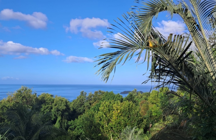LOCATION-VILLA AVEC PISCINE BOUILLANTE- T5 VUE MER