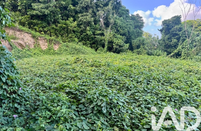 Vente Terrain 819m&sup2; Les Abymes