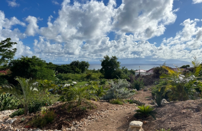 &Agrave; VENDRE MAGNIFIQUE TERRAIN VUE MER 1611 M2 &Agrave; MARIE-GALANTE