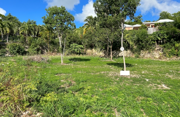 &Agrave; VENDRE TERRAIN DE 1 158 M2 AVEC BELLE VUE MER &Agrave; MARIE-GALANTE