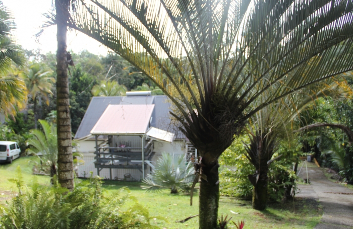 Location Appartement 97170