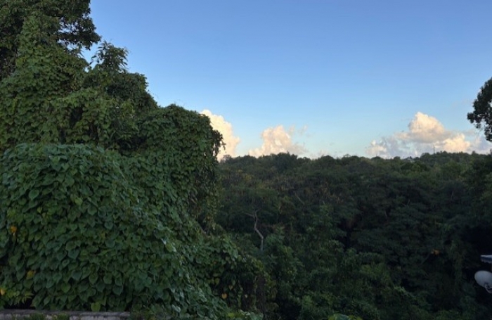 Deux pi&egrave;ces aux Abymes avec votre agence Longfort Immobilier