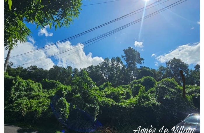 Vente Terrain 1041m&sup2; Pointe-Noire