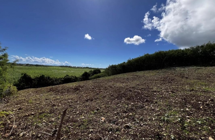 Vente Terrain 1433m&sup2; Saint Fran&ccedil;ois