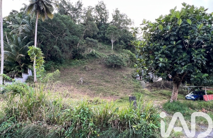 Vente Terrain 2479m&sup2; Les Abymes