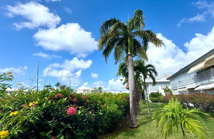 Vente Appartement 21.8m&sup2; 1 pièce Saint Fran&ccedil;ois