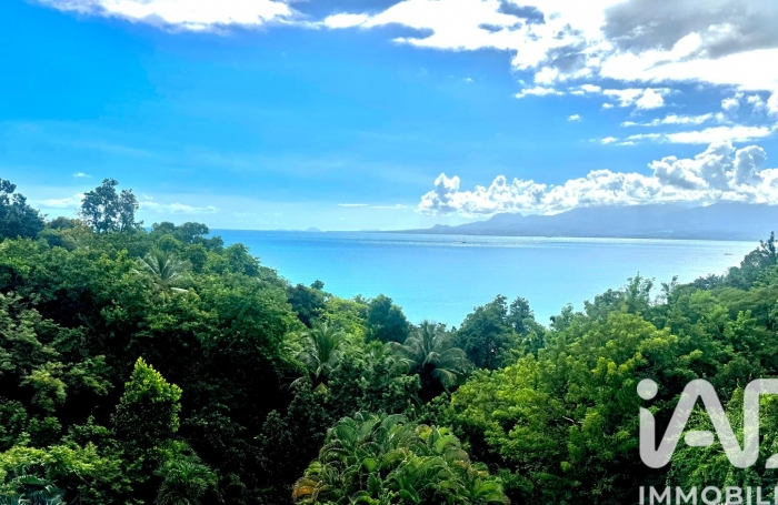 Vente Appartement 97190