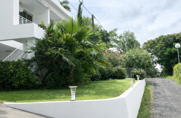 Location Appartement 97139