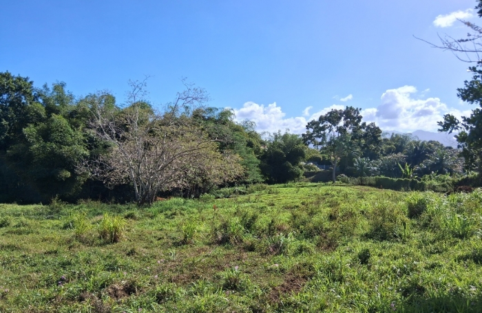 - BAIE-MAHAULT   lotissement r&eacute;sidentiel de 12 parcelles, &laquo; Les Jardins de Tivoli &raquo;,