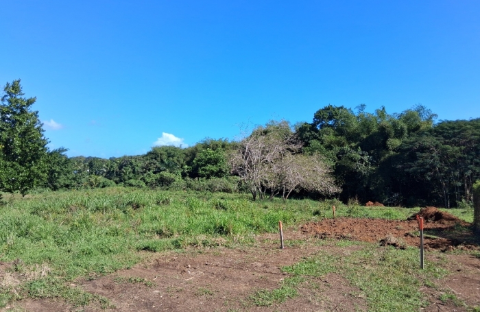 - BAIE-MAHAULT   lotissement r&eacute;sidentiel de 12 parcelles, &laquo; Les Jardins de Tivoli &raquo;,