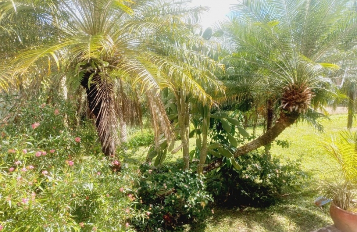 Vente Maison 144m&sup2; 4 pièces Lamentin