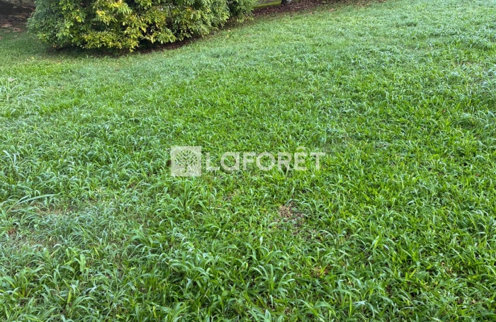 Vente Terrain 1300m&sup2; Lamentin