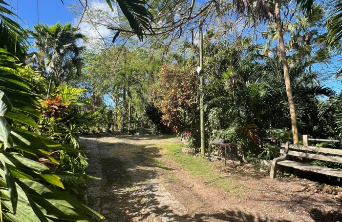 Vente Maison 194m&sup2; 9 pièces Morne &agrave; l'eau