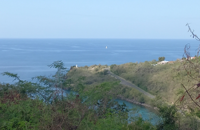 Terrain &agrave; vendre   Vue mer exceptionnelle   Vieux-Habitants