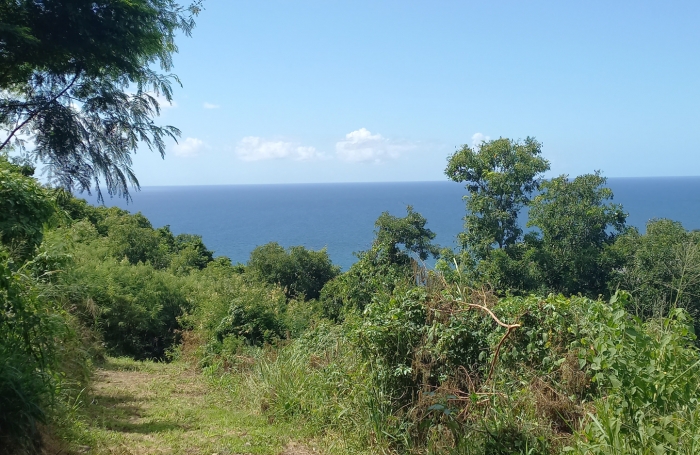 Terrain &agrave; vendre   Vue mer exceptionnelle   Vieux-Habitants
