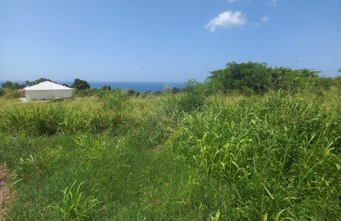 Terrain &agrave; vendre   Vue mer exceptionnelle   Vieux-Habitants