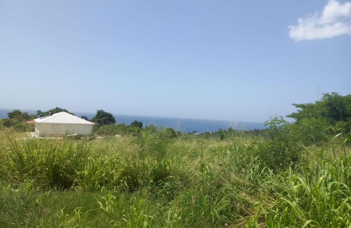 Terrain &agrave; vendre   Vue mer exceptionnelle   Vieux-Habitants