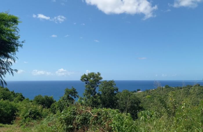 Terrain &agrave; vendre   Vue mer exceptionnelle   Vieux-Habitants