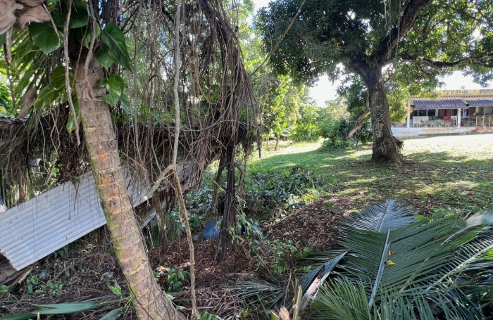 Vente Terrain 2007m&sup2; Baie Mahault