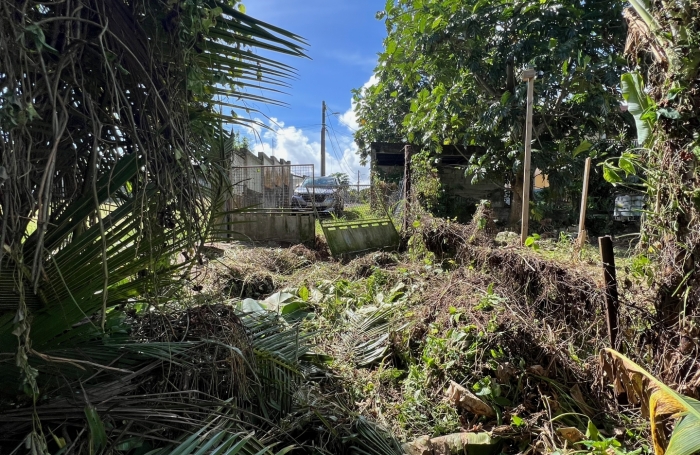 Vente Terrain 2007m&sup2; Baie Mahault