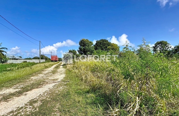 Vente Terrain 1088m&sup2; Anse-Bertrand