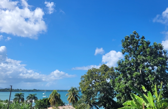 Vente Appartement 97122