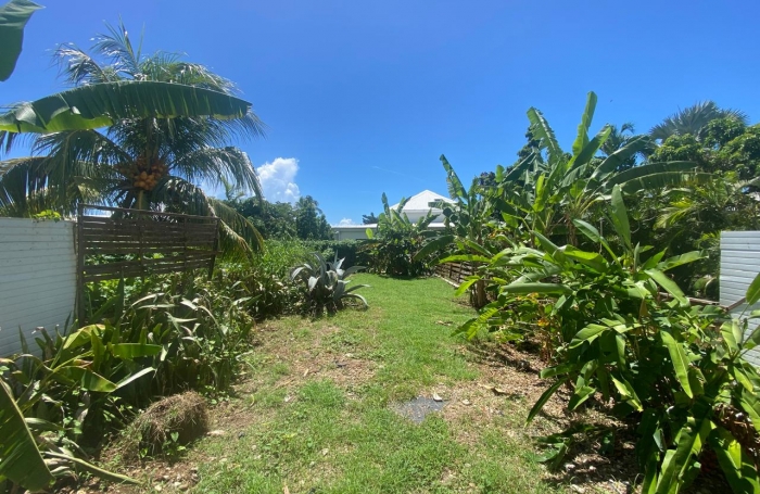 Vente Appartement 97190