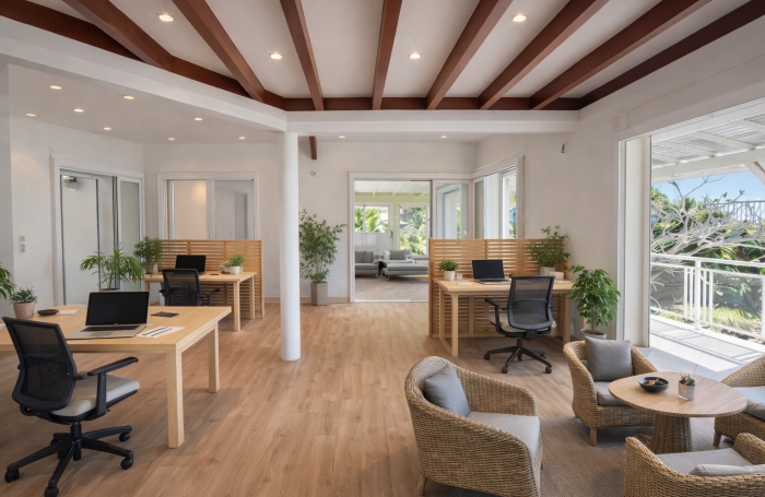 Maison &agrave; vendre Baie-Mahault Guadeloupe 304 m2 usage professionnel ou mixte