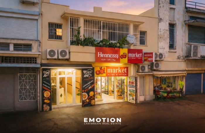 Vente Immeuble 97110