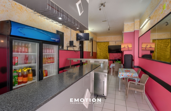 IMMEUBLE DE RAPPORT - POINTE-&Agrave;-PITRE