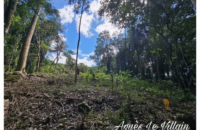 Vente Terrain 3123m&sup2; Bouillante