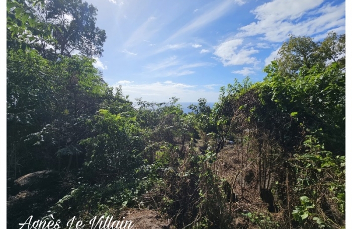 Vente Terrain 1041m&sup2; Pointe-Noire