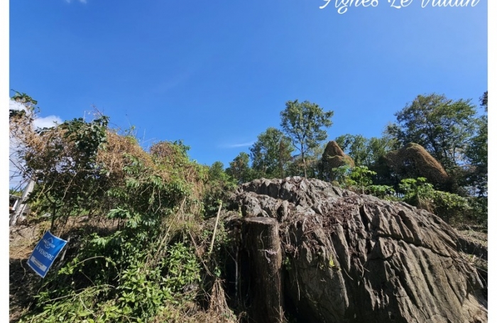 Vente Terrain 1041m&sup2; Pointe-Noire