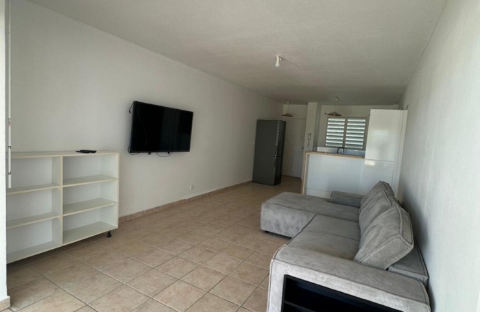 Magnifique T3 meubl&eacute; avec jardin et box privatifs