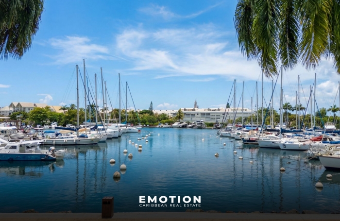 Vente Appartement 97190