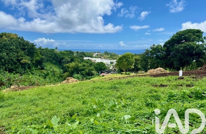 Vente Terrain 97114