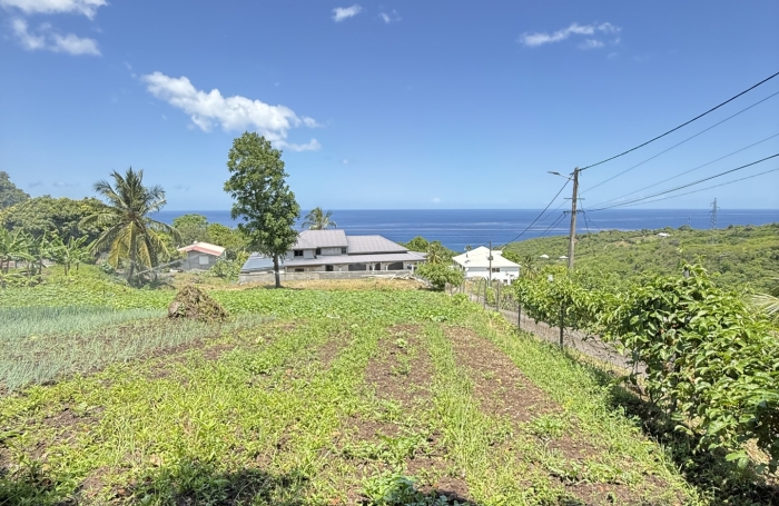 Vente Terrain 97119