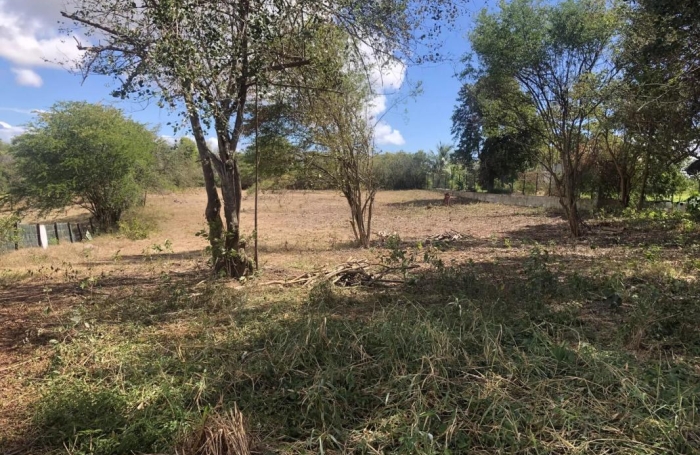 Vente Terrain 6389m&sup2; Sainte Anne