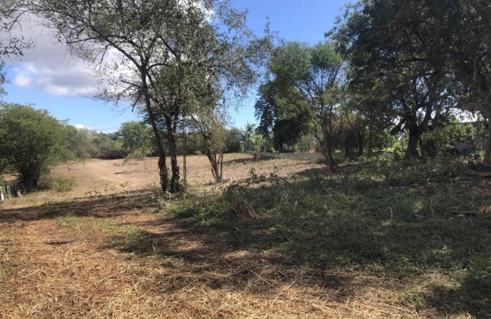 Vente Terrain 6389m&sup2; Sainte Anne