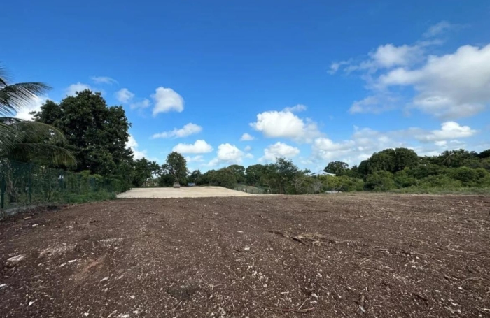 Vente Terrain 6389m&sup2; Sainte Anne