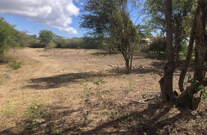 Vente Terrain 6389m&sup2; Sainte Anne