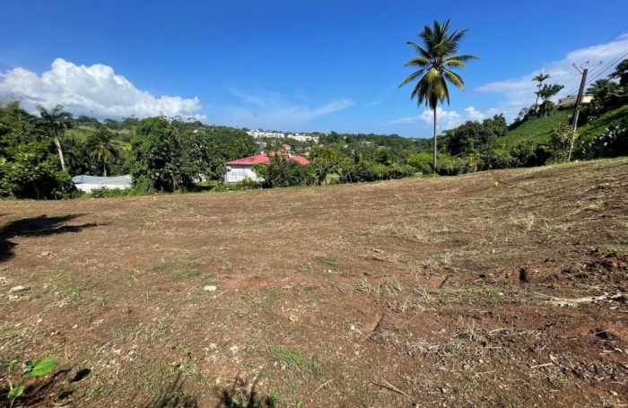 Vente Terrain 800m&sup2; Petit-Bourg
