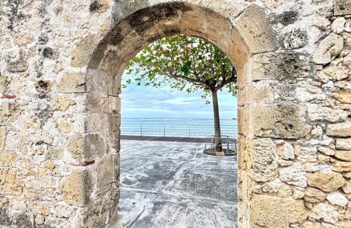 Vente Fonds de commerce 300m&sup2; 1 pièce Le Moule