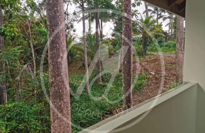 Location Maison 164m&sup2; 6 pièces Petit-Bourg