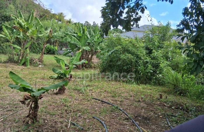 Vente Terrain 800m&sup2; Saint Fran&ccedil;ois
