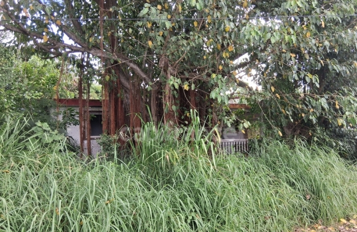 Vente Terrain 800m&sup2; Saint Fran&ccedil;ois