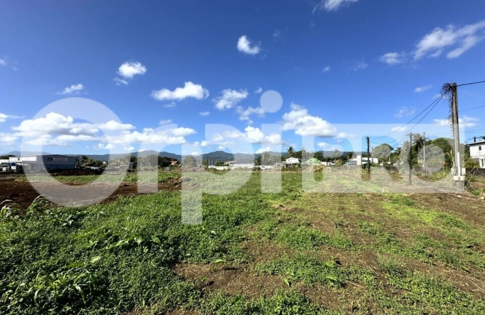 A vendre Terrain 1596 m&sup2; Sainte Rose