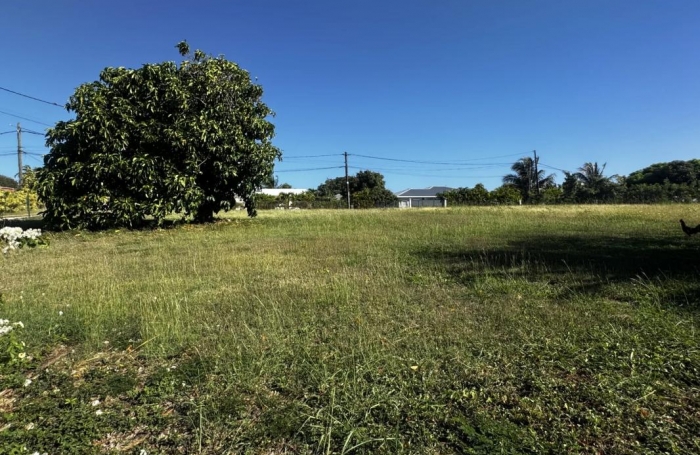 Vente Terrain 1080m&sup2; Saint Fran&ccedil;ois