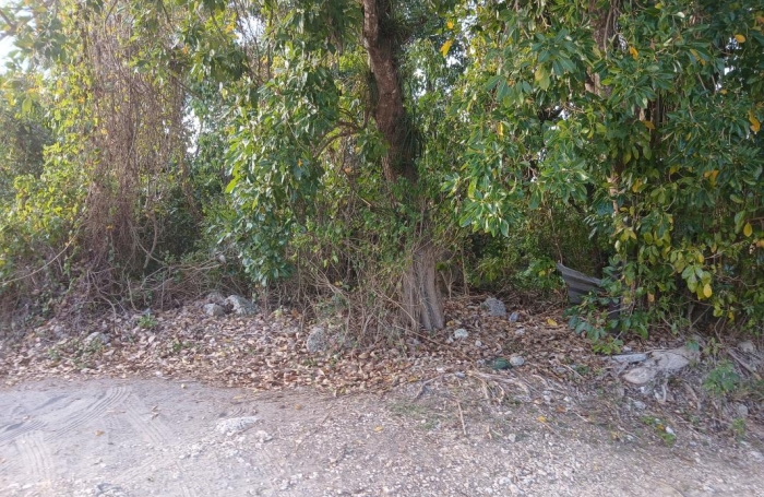 Vente Terrain 532m&sup2; Gosier