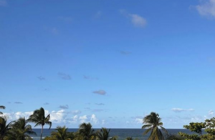 Location Appartement 58.14m&sup2; 2 pièces Le Moule